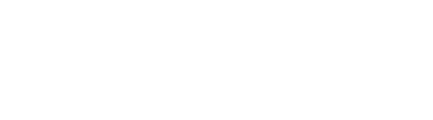 Bizon club