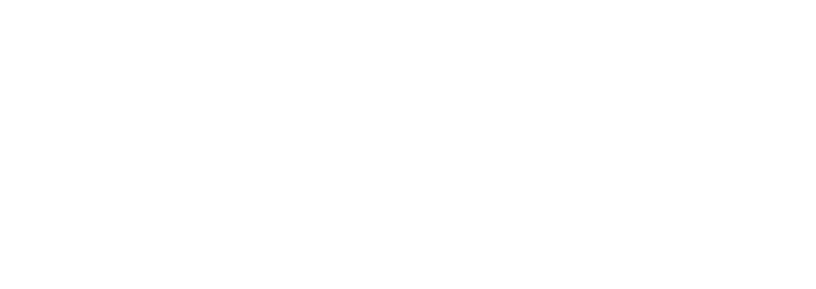 Bizon club